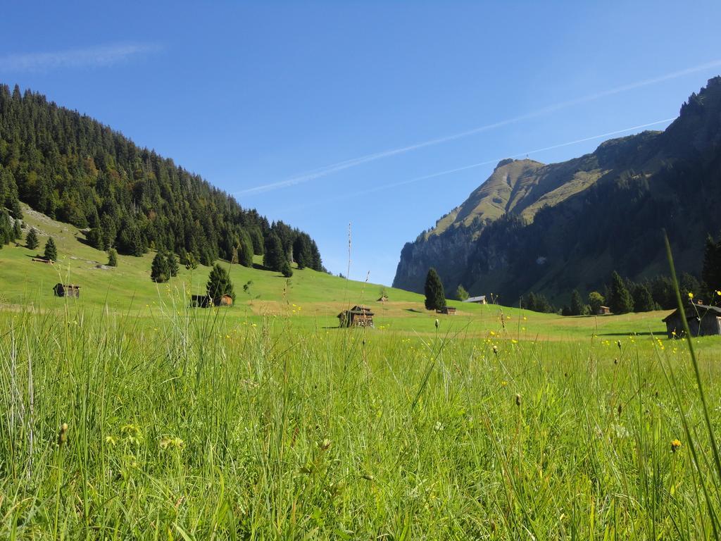 Hotel Haus Alpina Au (Vorarlberg) Esterno foto