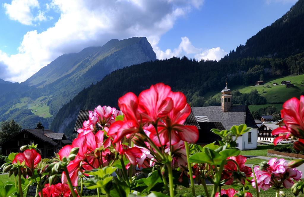 Hotel Haus Alpina Au (Vorarlberg) Esterno foto